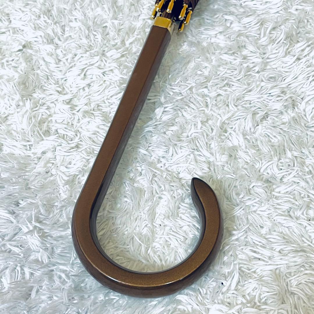 ✨超激レア✨セリーヌ CELINE 傘 総柄 トリオンフ マカダム