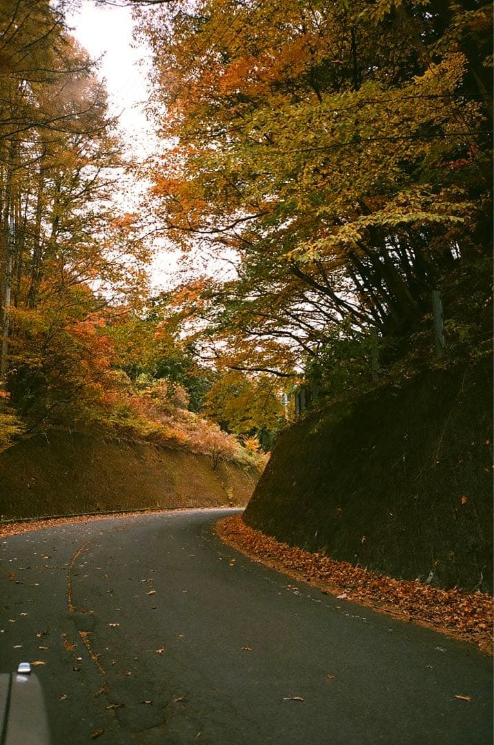 フィルムカメラ Konica bigmini