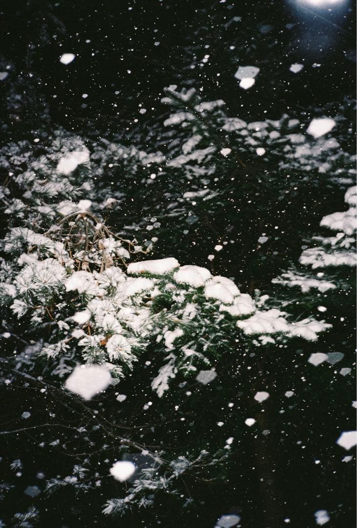 フィルムカメラ Konica bigmini