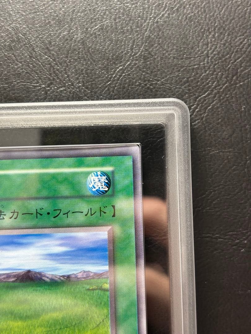 【世界1枚　ARS10+】草原 レア 初期 字レア