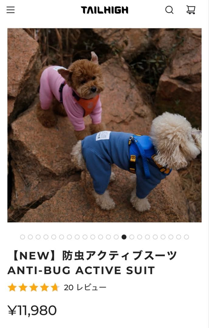 TAILHIGH 防虫アクティブスーツ レイクグリーン L