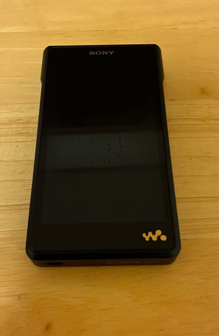 T*3様 SONY NW-WM1AM2 + Dignis レザーケース　セット