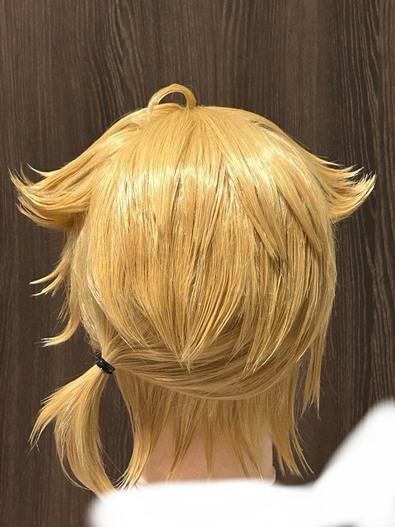 にじさんじ 伏見ガク コスプレ ウィッグ 通常