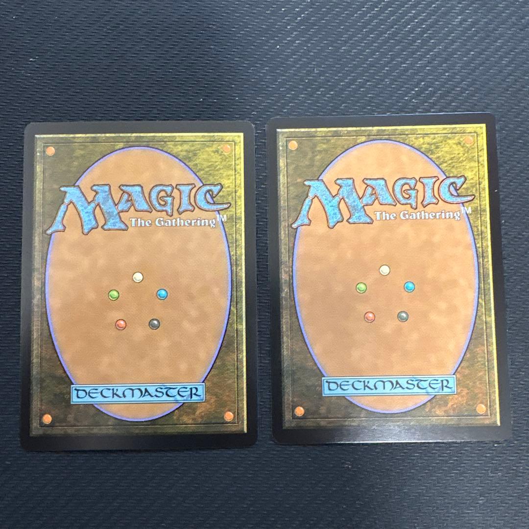 MTG 豊かな在郷　2枚