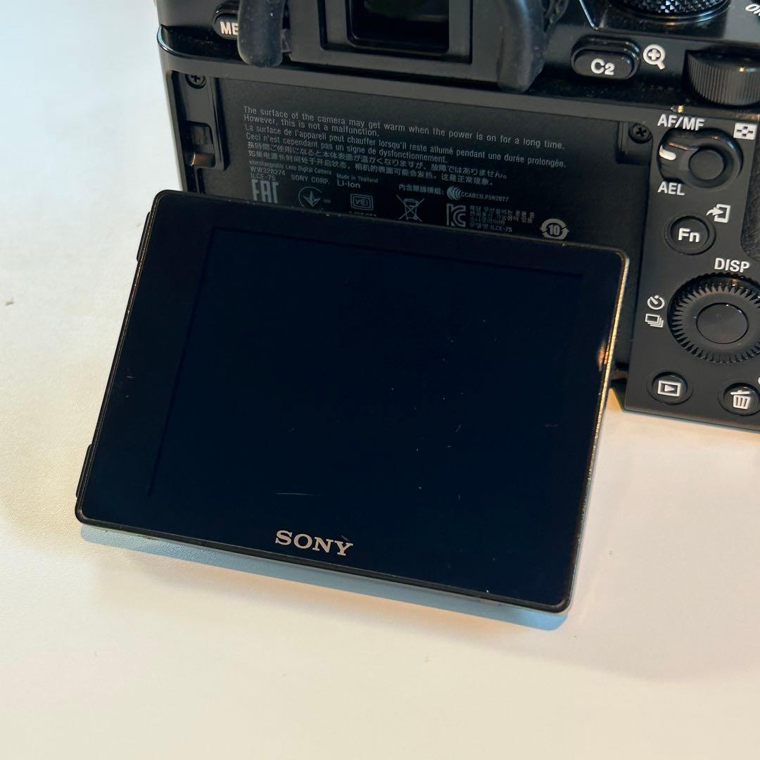 SONY α7S ILCE-7S ミラーレスカメラ2910枚