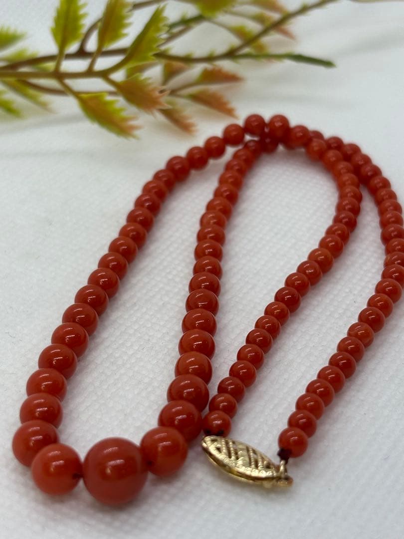天然赤珊瑚ネックレス