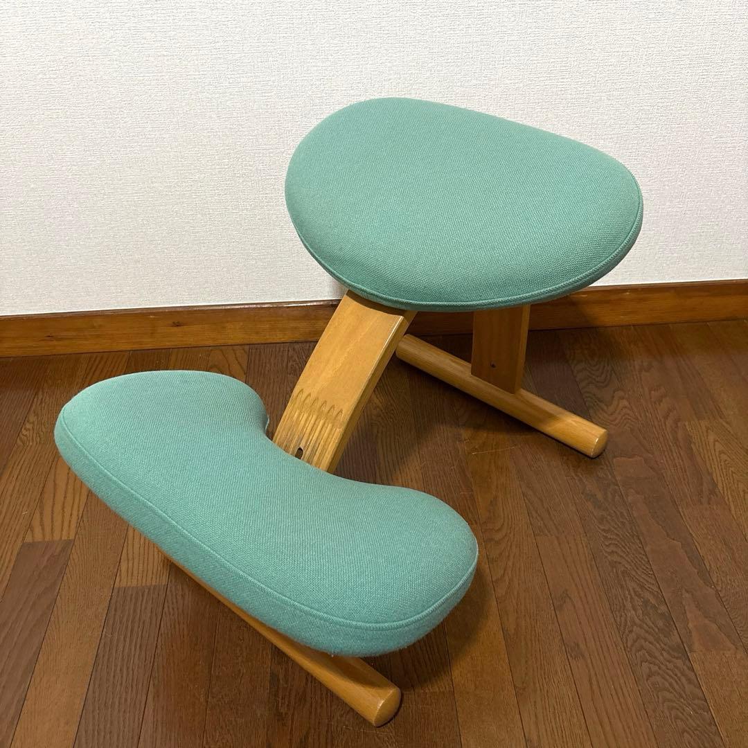 【匿名配送】バランスイージー Rybo 通常フレーム