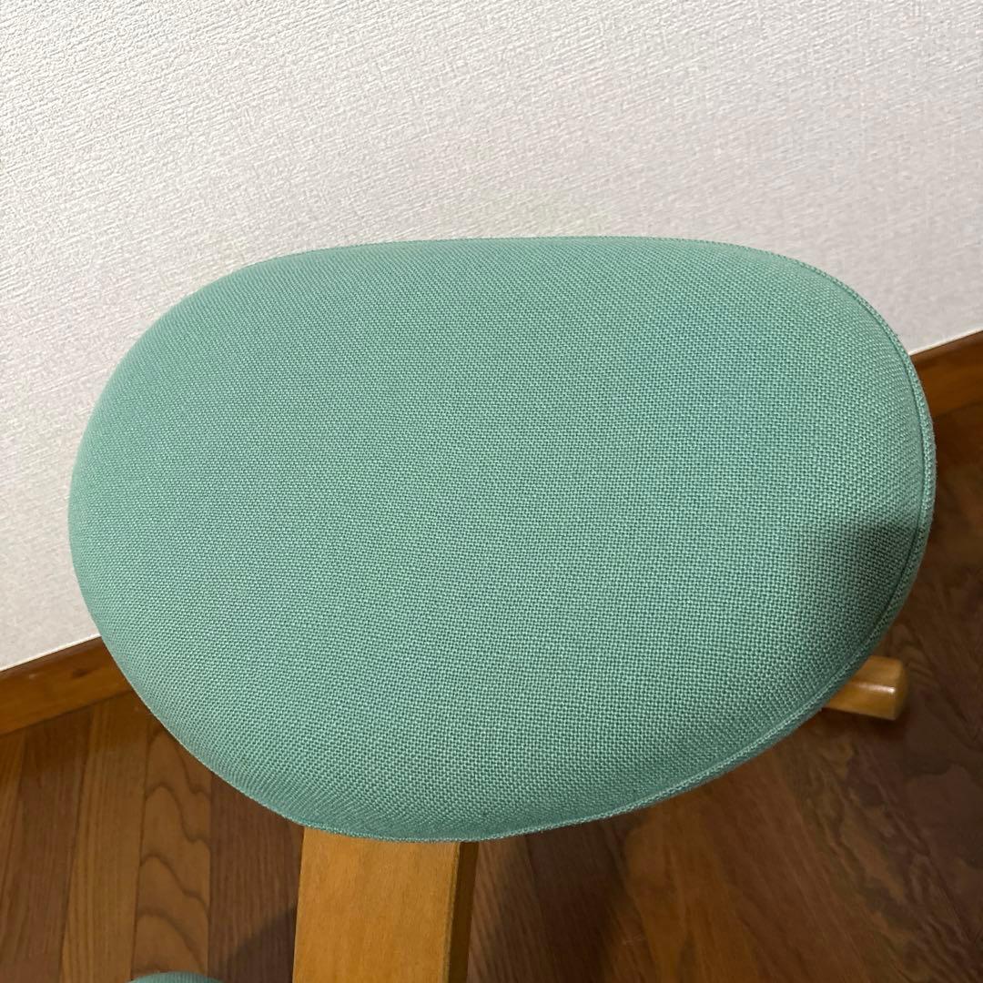 【匿名配送】バランスイージー Rybo 通常フレーム