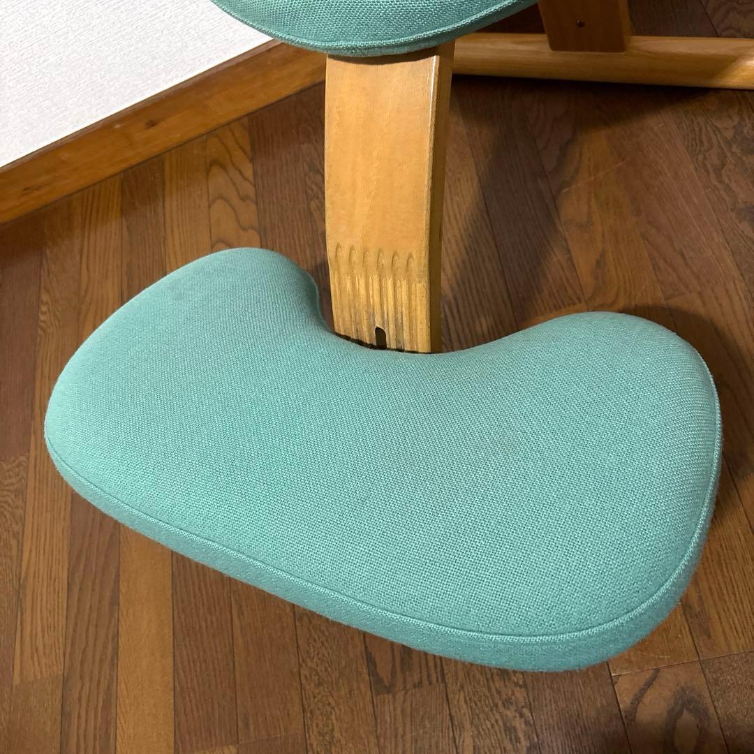 【匿名配送】バランスイージー Rybo 通常フレーム