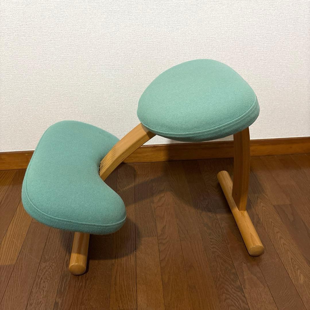 【匿名配送】バランスイージー Rybo 通常フレーム