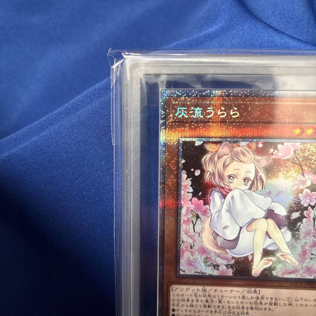 遊戯王 灰流うらら はるうらら 絵違い プリズマ プリシク