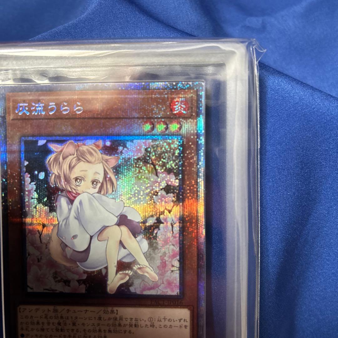 遊戯王 灰流うらら はるうらら 絵違い プリズマ プリシク