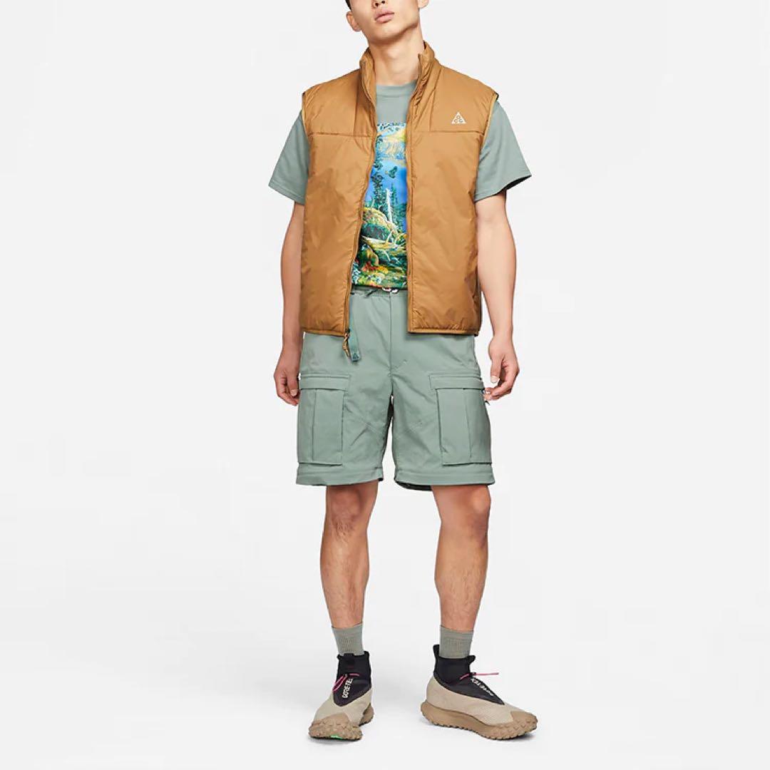 [中古美品] SP21 nike acg cargo pants