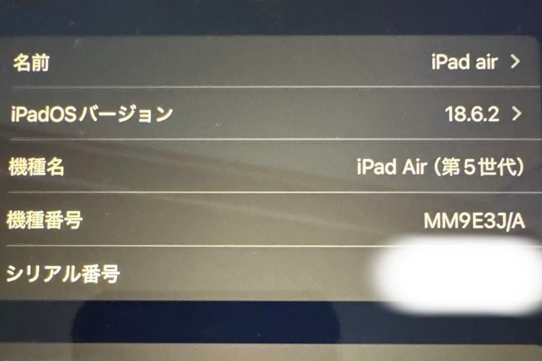 Apple iPad Air (第5世代) 本体 充電器・ケース付き