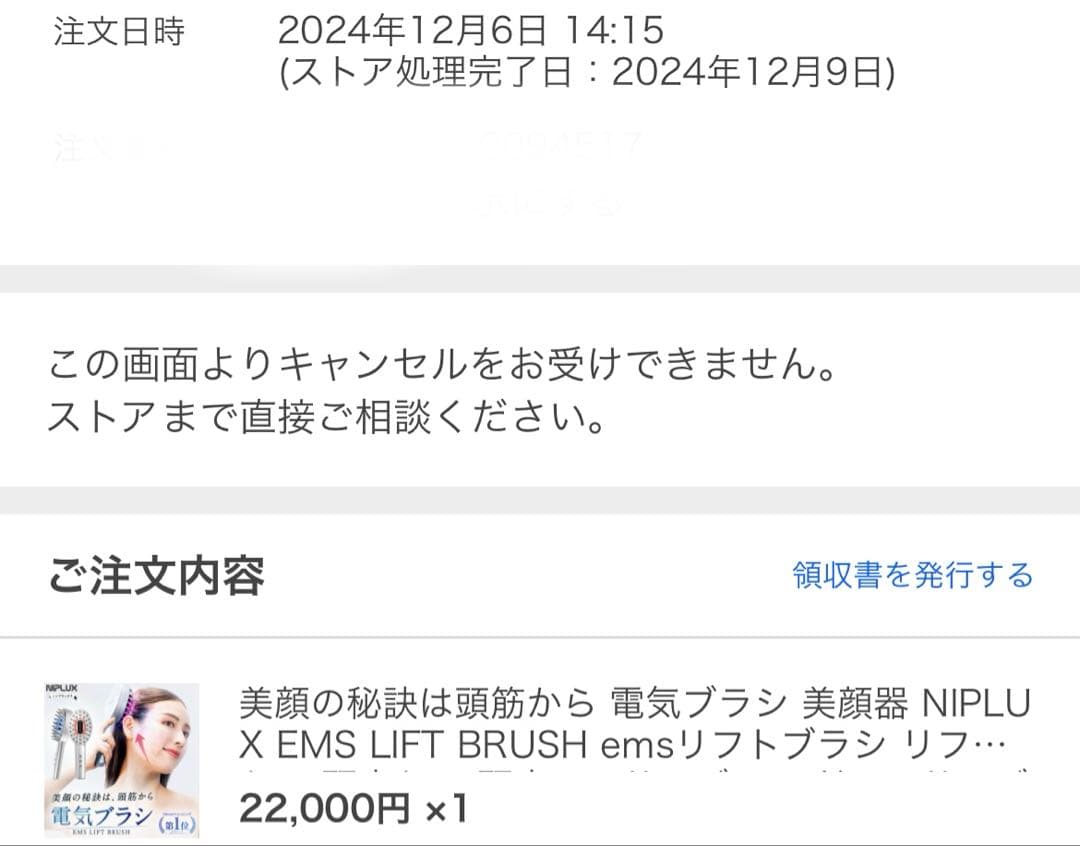 NIPLUX EMS LIFT BRUSH 美顔器