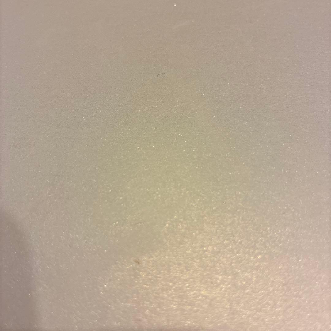 NIPLUX EMS LIFT BRUSH 美顔器