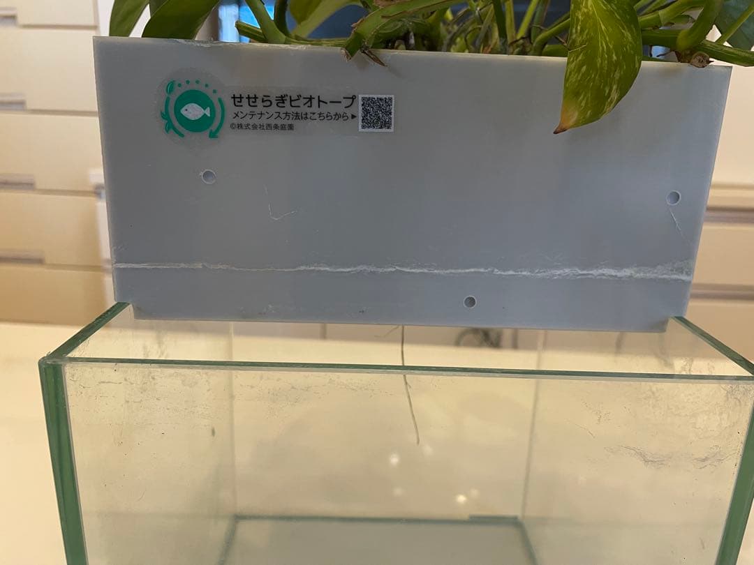 水槽　せせらぎビオトープ