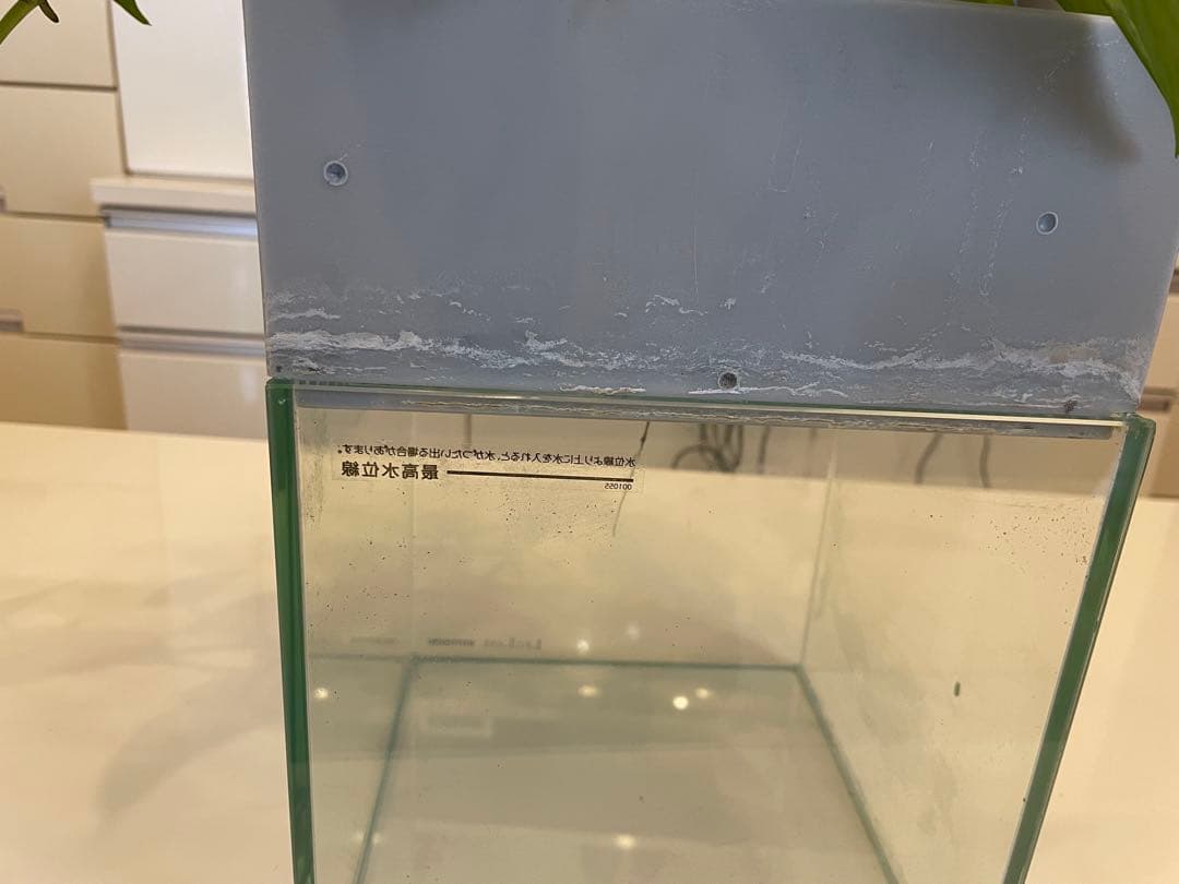 水槽　せせらぎビオトープ