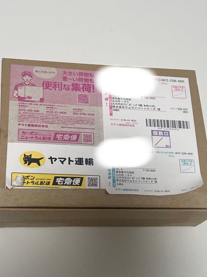 ポケモンカード ブラックボルト ホワイトフレア　各1BOX ネットオリパ当選品