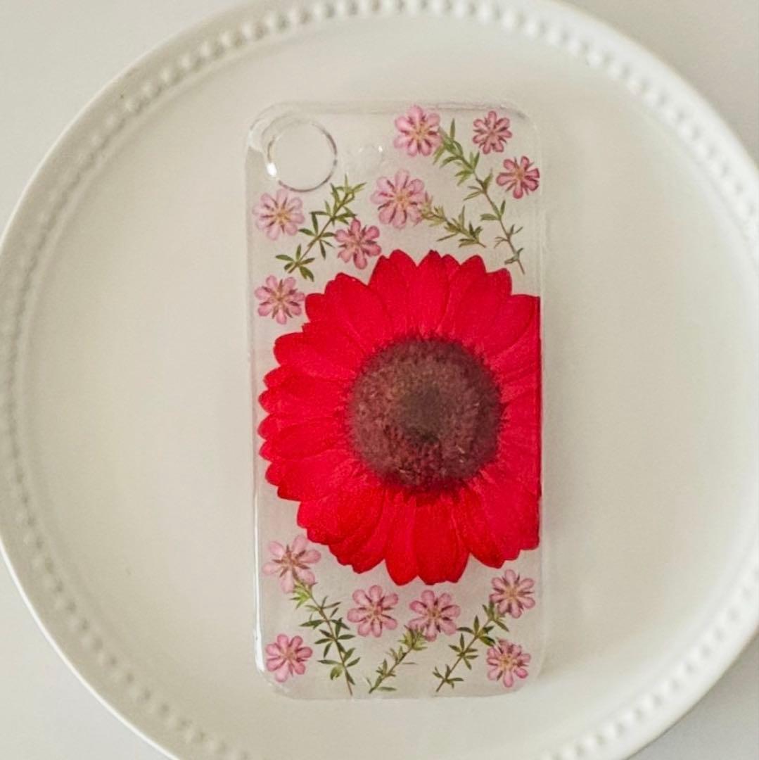 きーちページ⭐︎押し花ケース