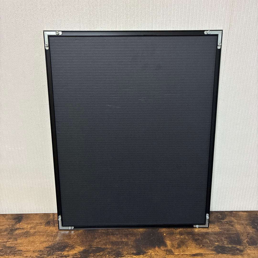 ディズニー　イマジニングザマジック　実写　フォトパネル　ポスター　額入り