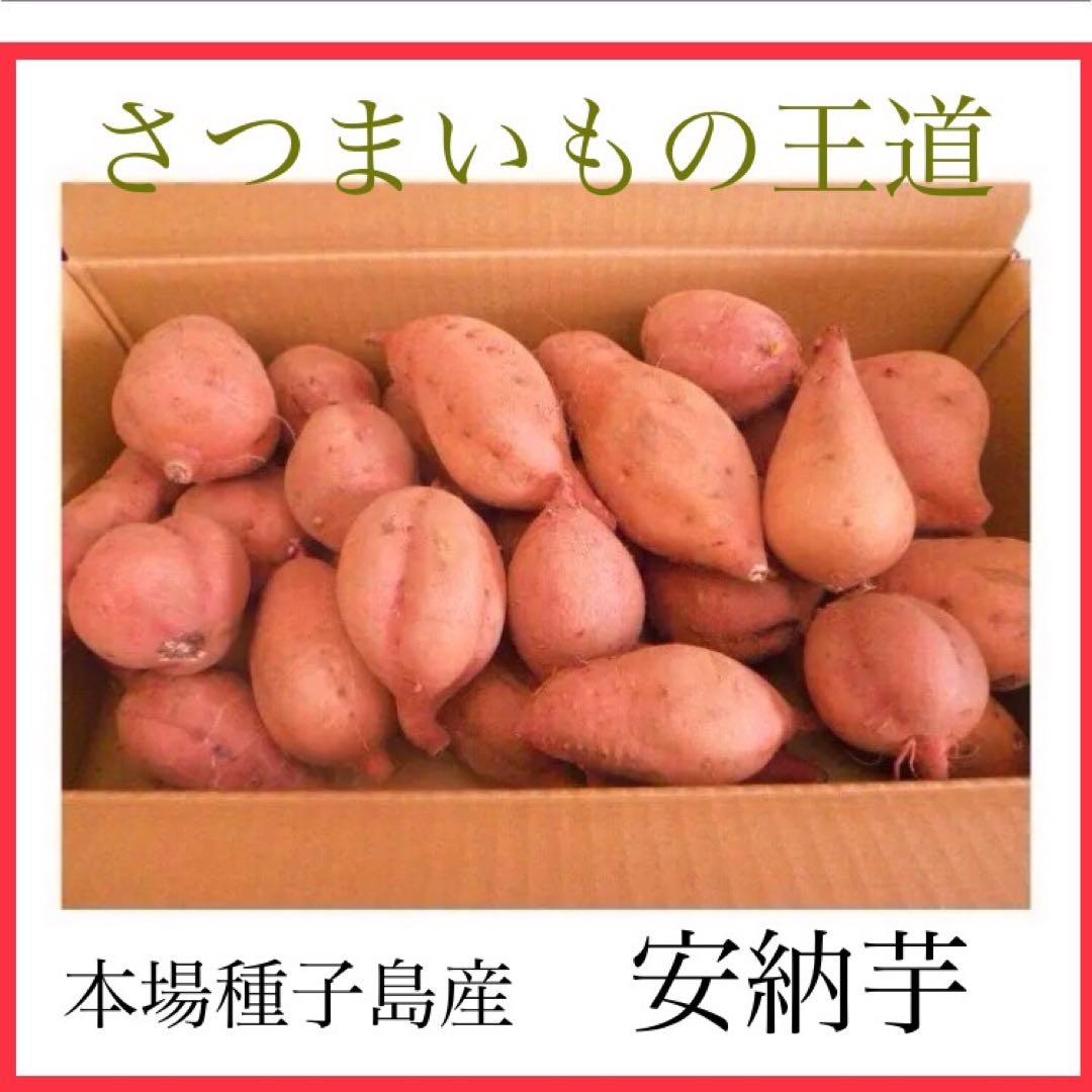 さつまいもの王道　種子島産安納芋本場　Sサイズ20kgどうぞどんと　#20