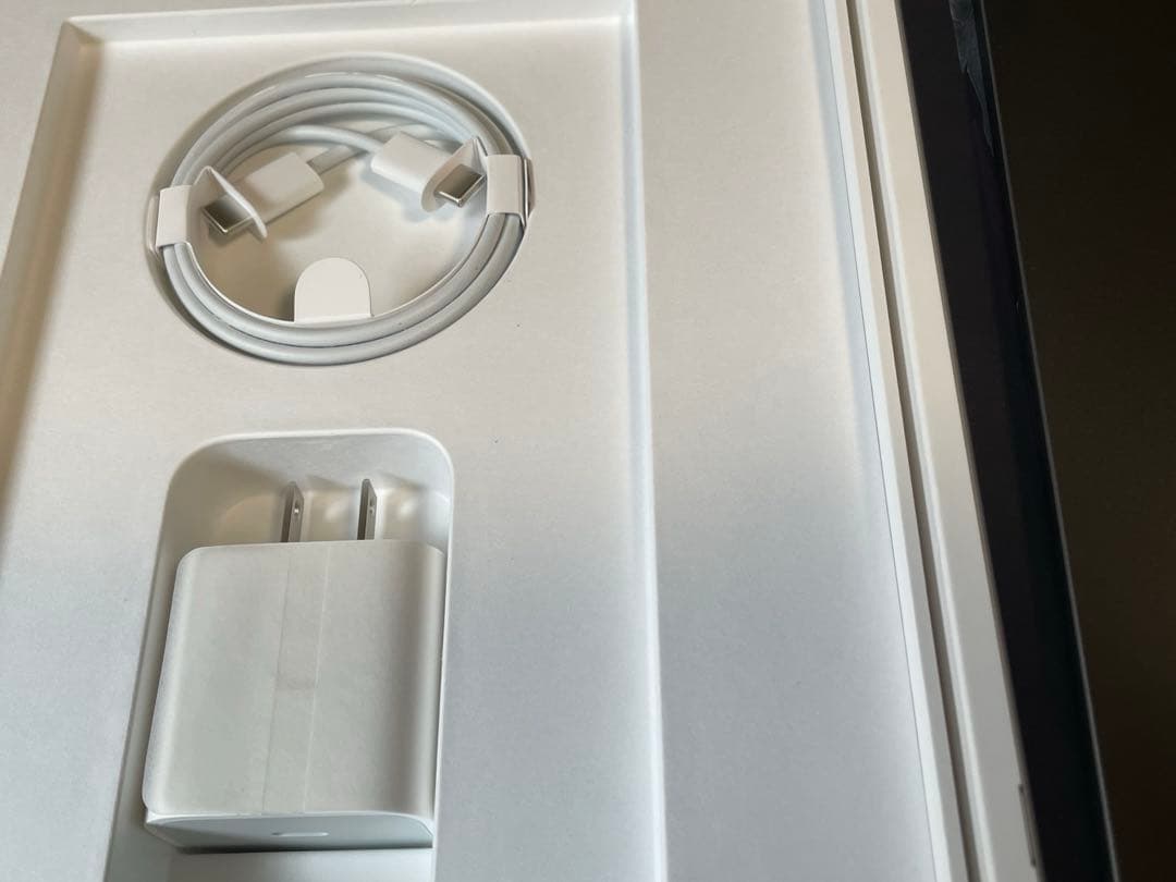 iPad Pro 11 256 SIMフリー第一世代　本体　美品　おまけ付き