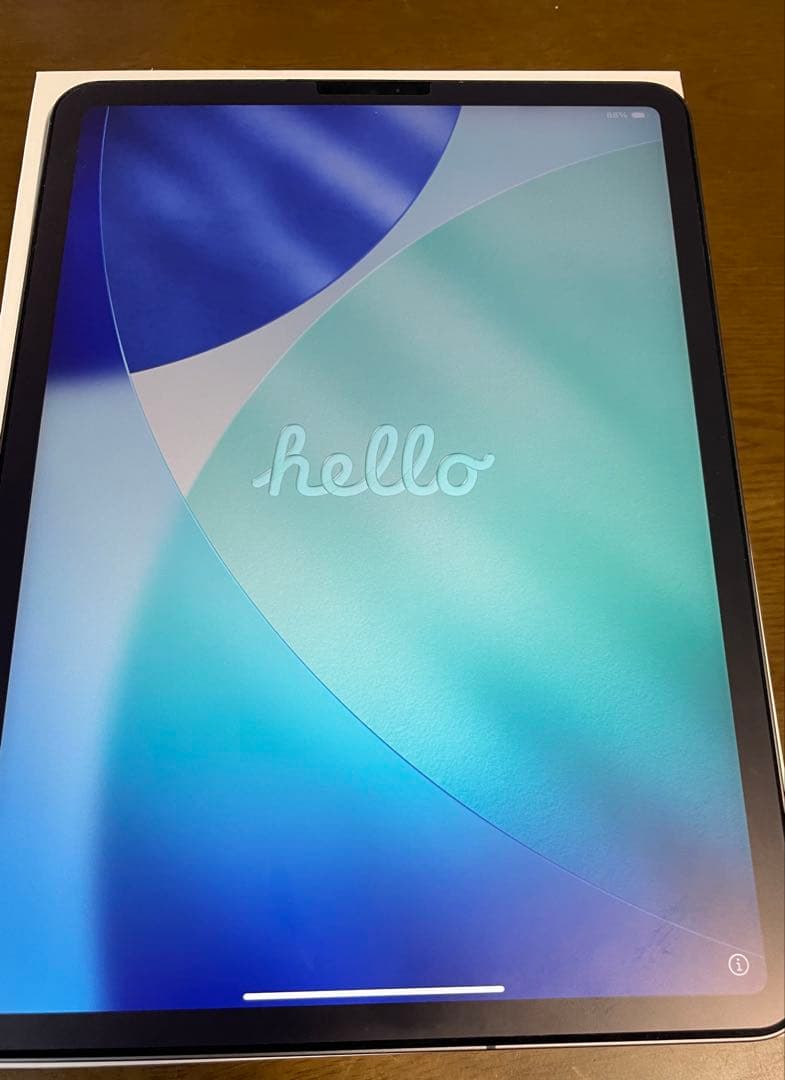 iPad Pro 11 256 SIMフリー第一世代　本体　美品　おまけ付き