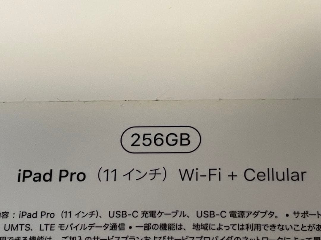iPad Pro 11 256 SIMフリー第一世代　本体　美品　おまけ付き