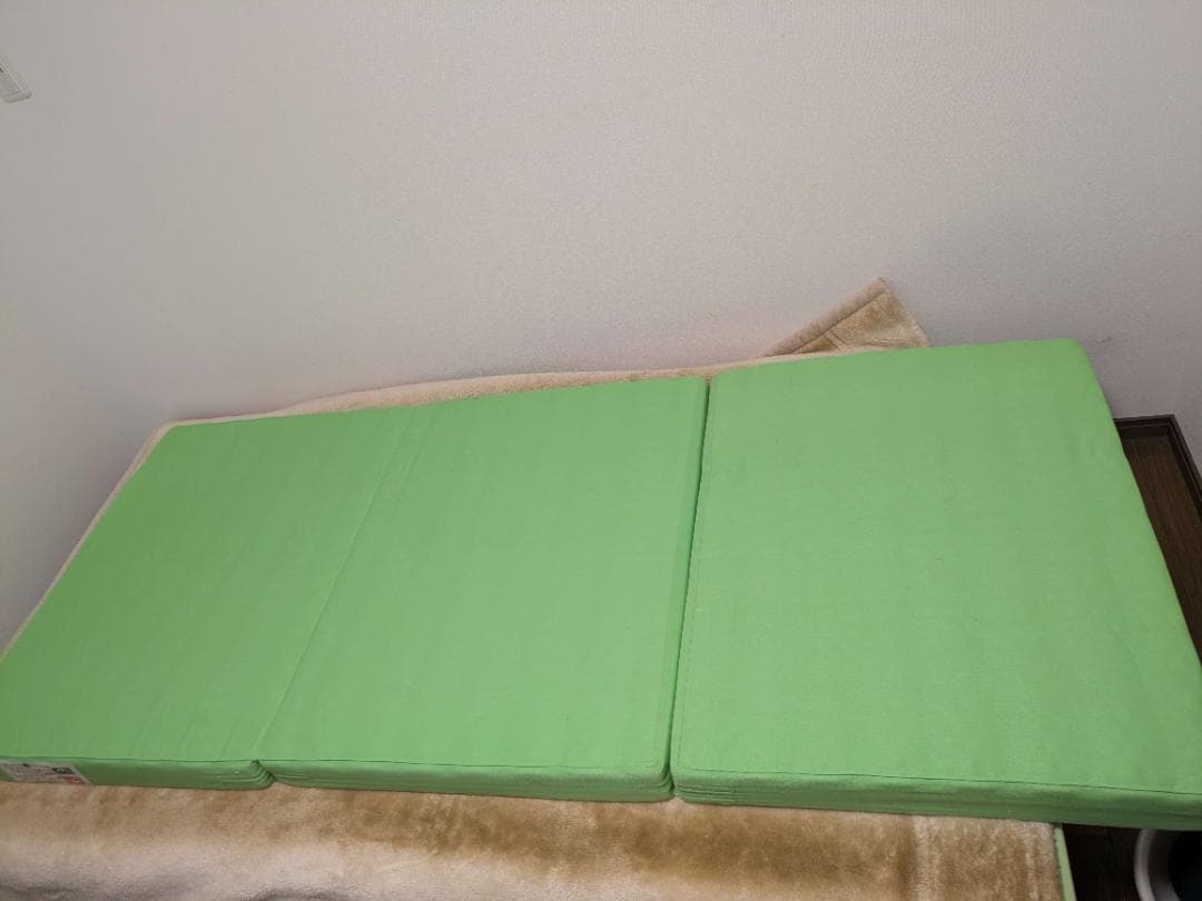 【月内限定価格】あおたけ枕　＋ ヘルスウェーブゴールド