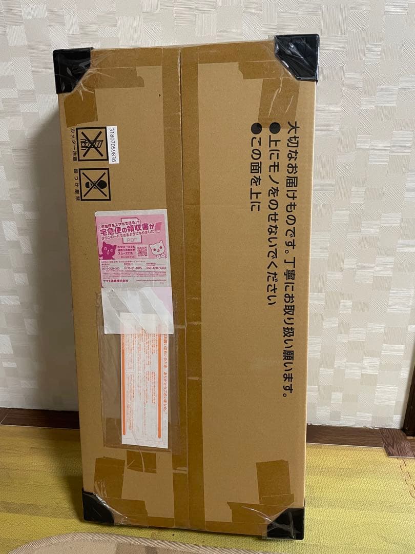 初回抽選品　内容物確認済み　ポケモンカード　クラシック classic