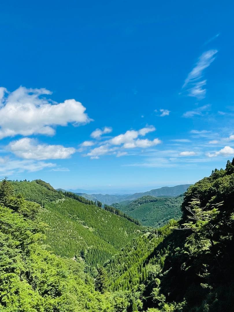 くまもと産干しぜんまい1キロ