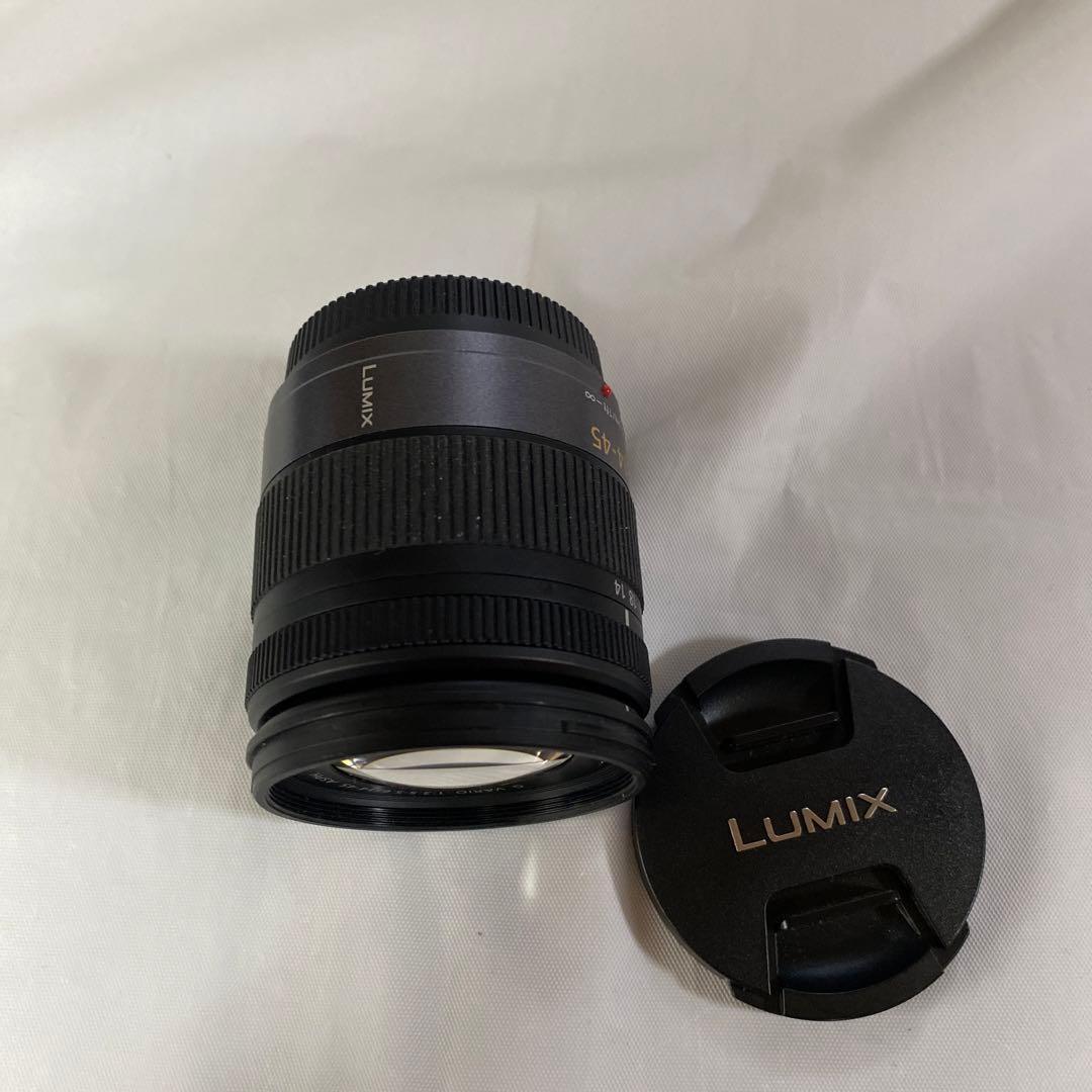 パナソニック　LUMIX GⅠ ブラック