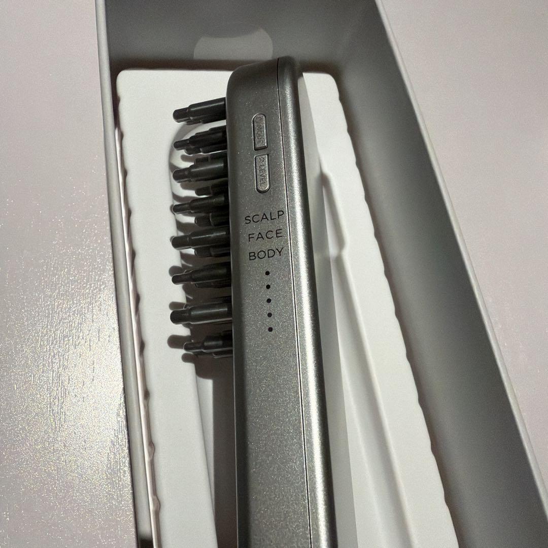 即日発送可　SALONIA 電気ブラシ