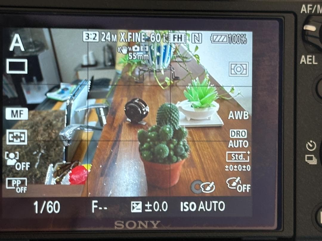 【おまけつき：ショット数：16,947枚】ソニー SONY α7 Ⅱ