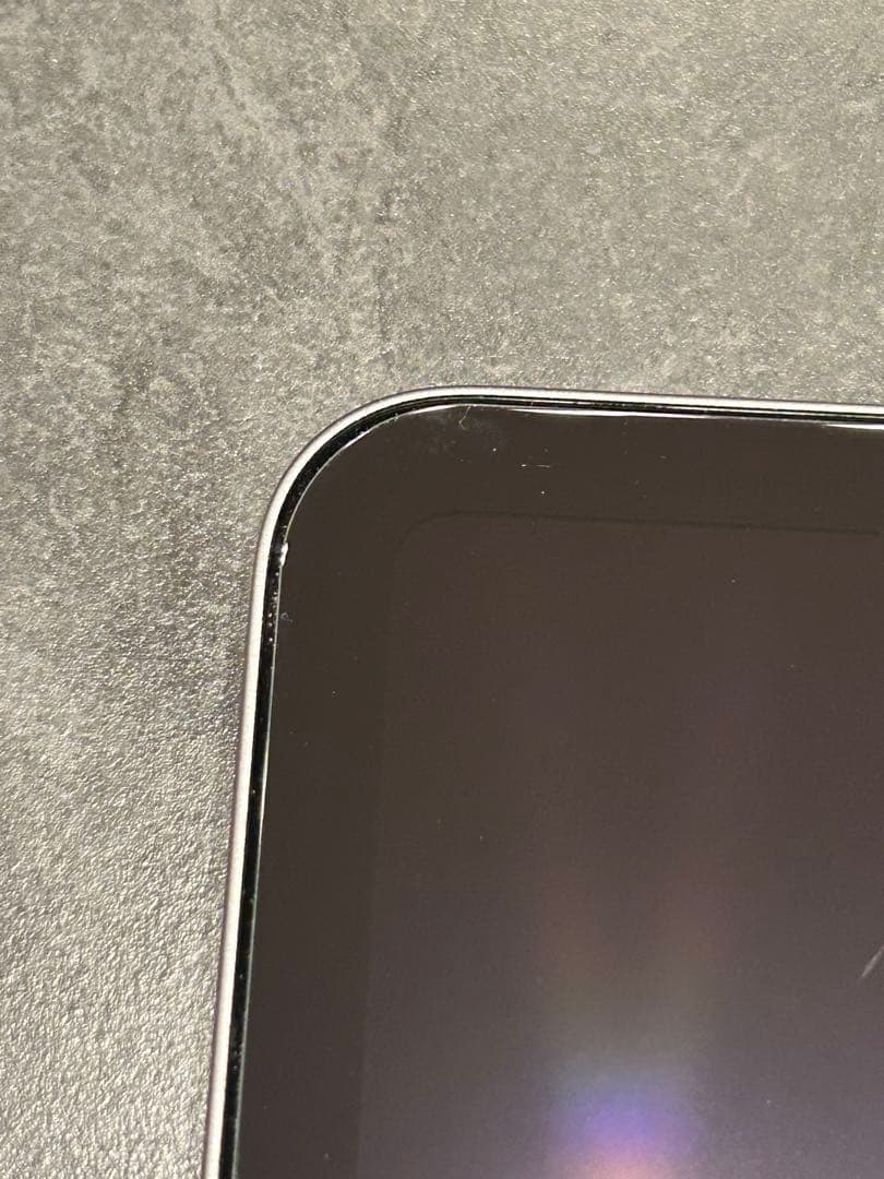 iPad本体 Apple iPad Pro 12.9 1 7 41 WiFi 1TB