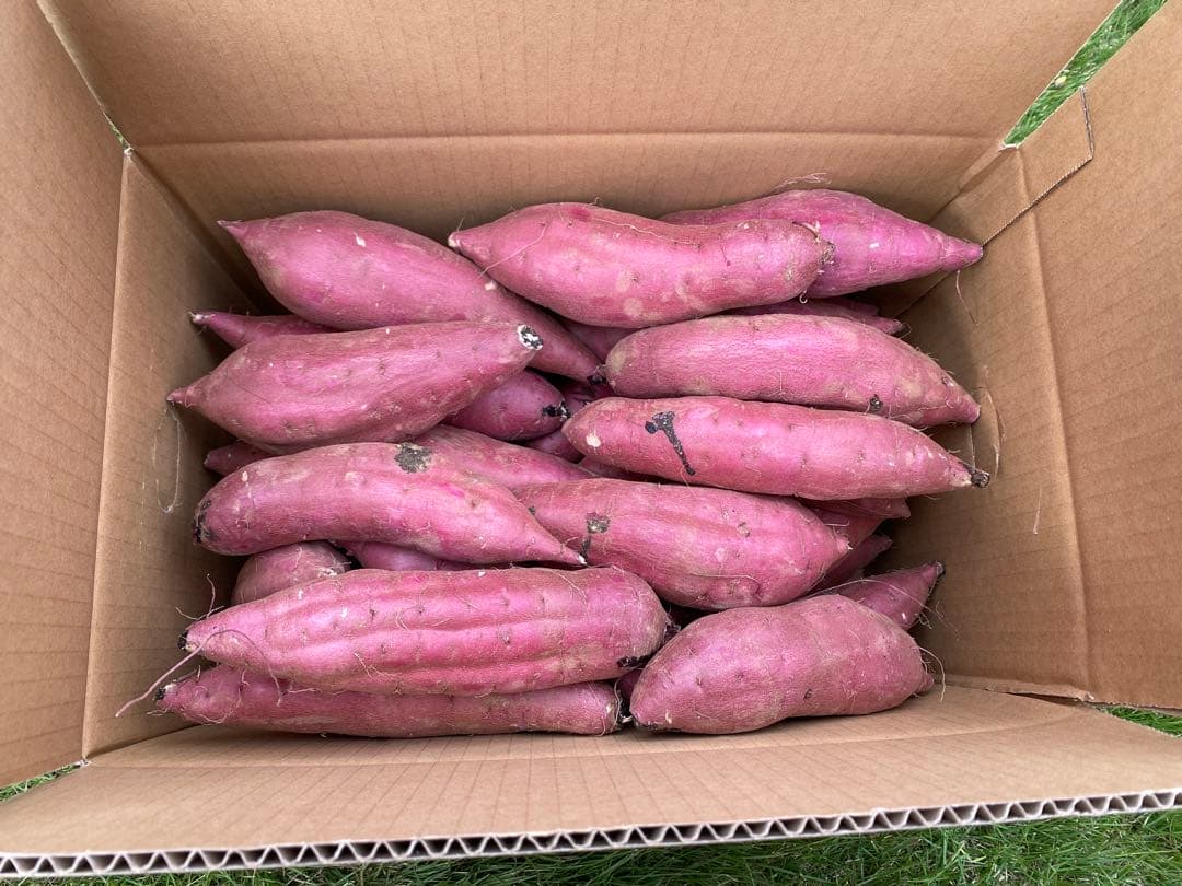 茨城県産紅はるかM80キロ　じゅん品