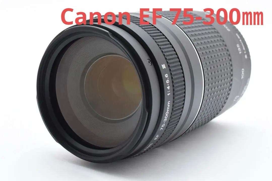 レンズ(ズーム) CANON EF 75-300mm F4-5.6 III USM
