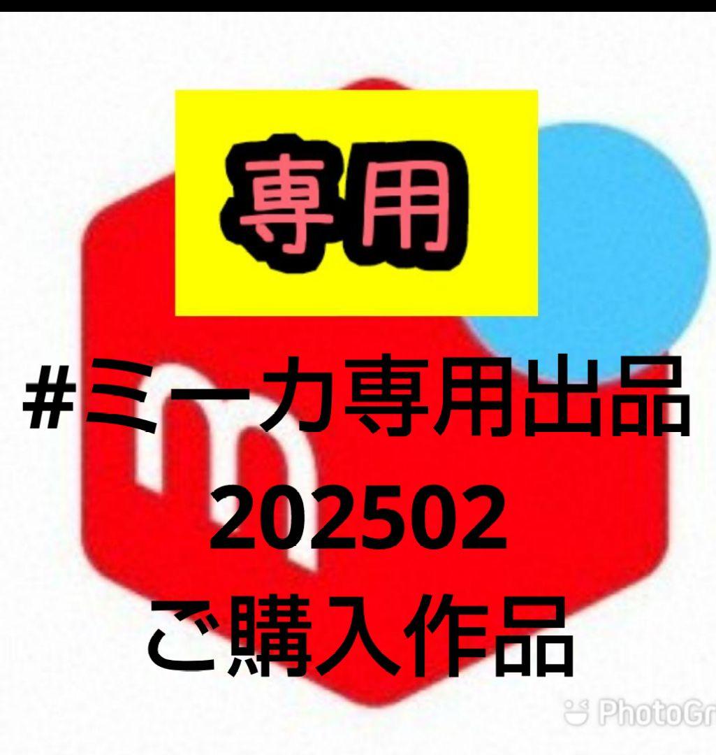 #ミーカ専用出品202502ご購入作品