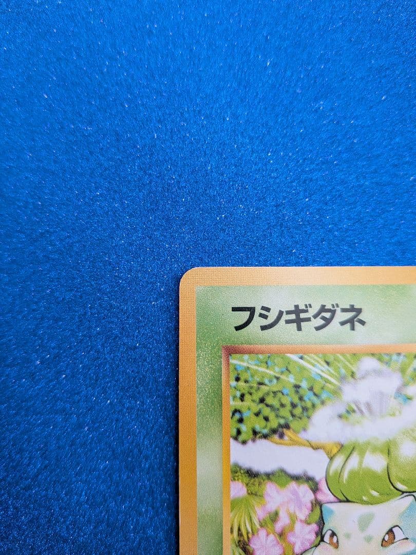 フシギダネ HP40 No.001　旧裏