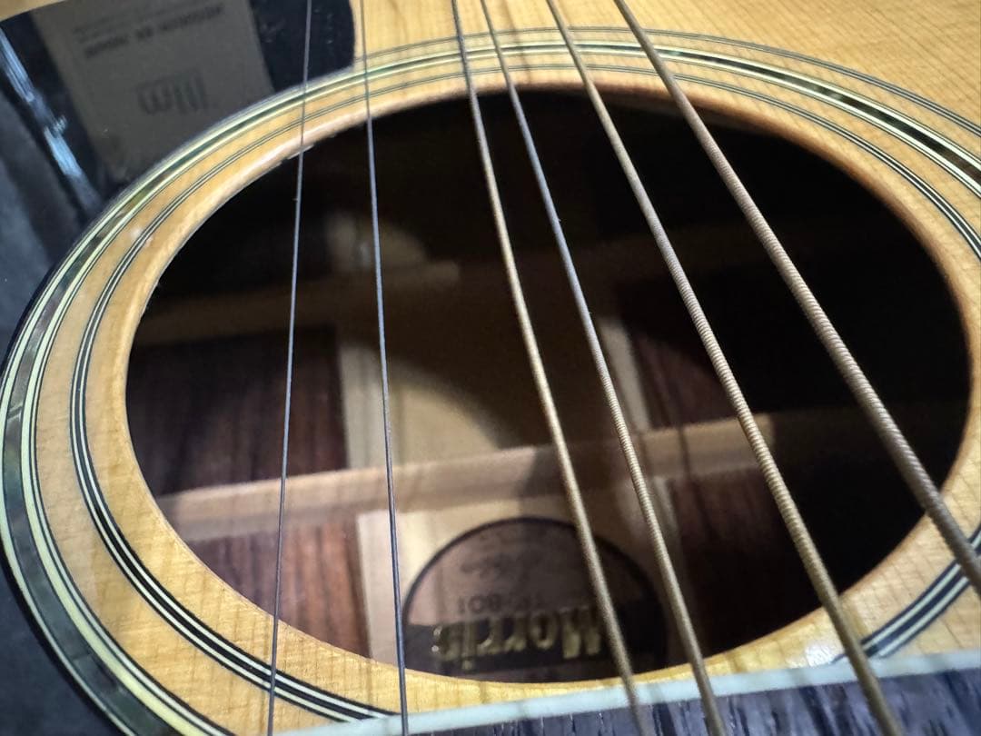 MORRIS TF-801 アコースティックギター