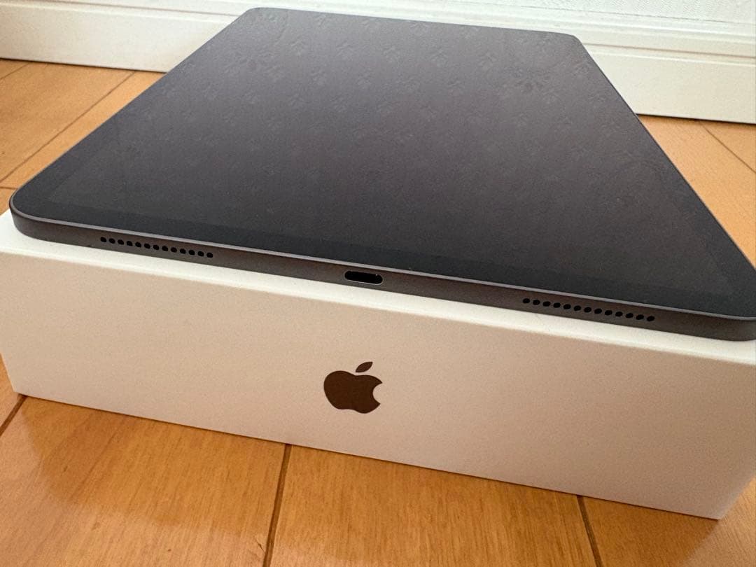 iPad Pro 第一世代 11インチ 512GB 箱/ケーブル付き