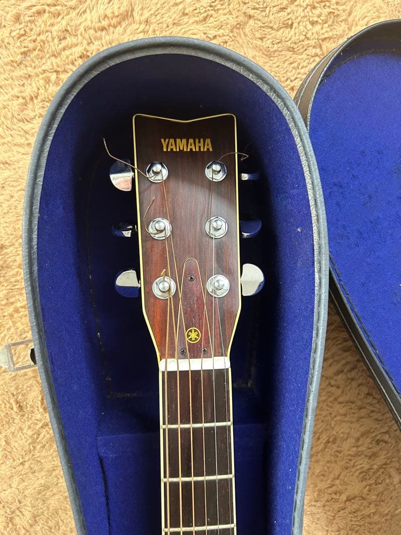 週末割引 ハードケース付 YAMAHA FG-251 アコースティック ヤマハ