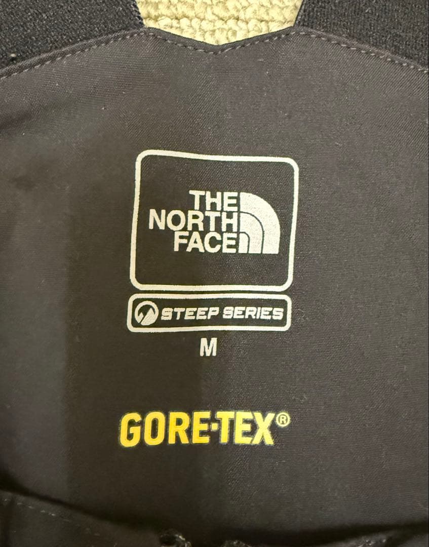 The north face/ free thinker bib ビブパンツ