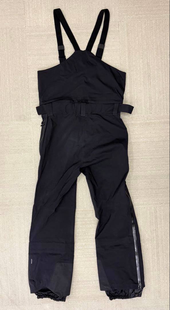 The north face/ free thinker bib ビブパンツ