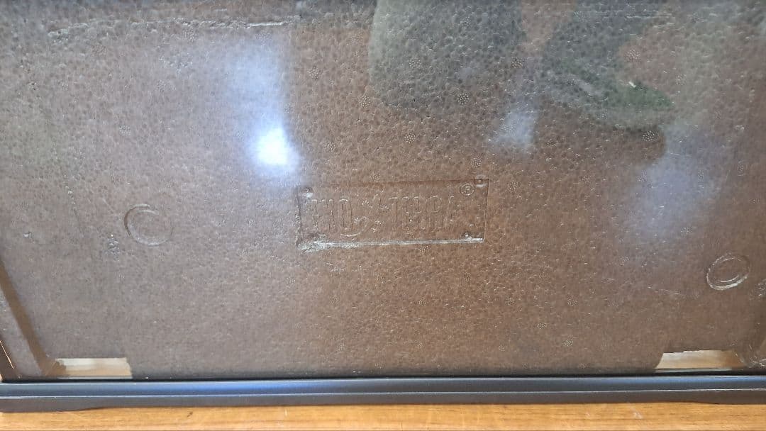 GEX グラステラリウム6030新品ライト付き