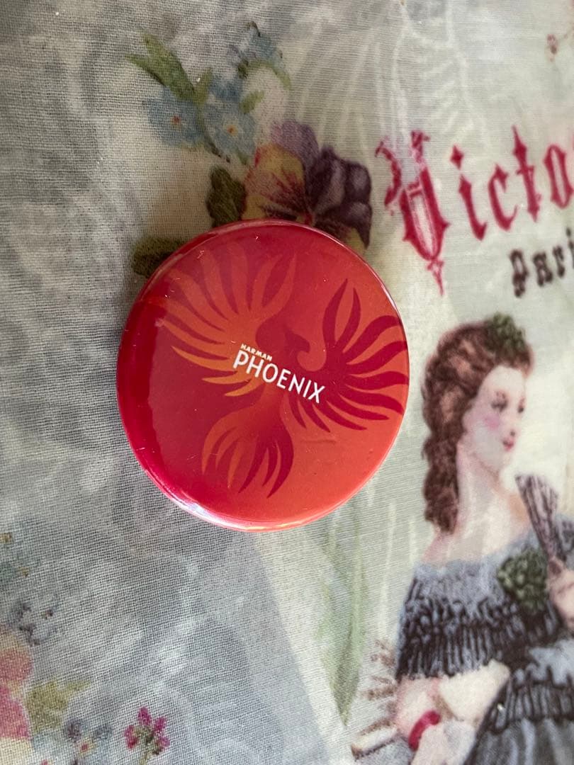 希少 絶版 Fujifilm acros 100 120 9点 ピンを贈る