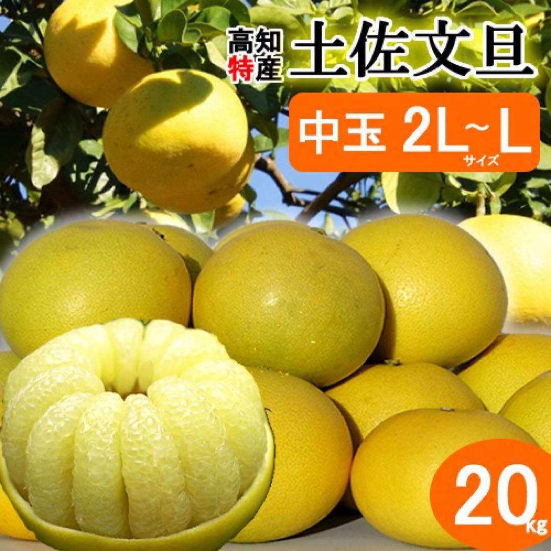 中玉限定☆ご家庭用　高知特産土佐文旦　2L〜Lサイズ19〜25玉入り10㎏2箱