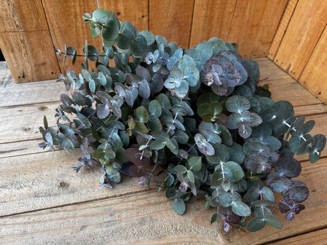 苺様 リクエスト 3点 まとめ商品