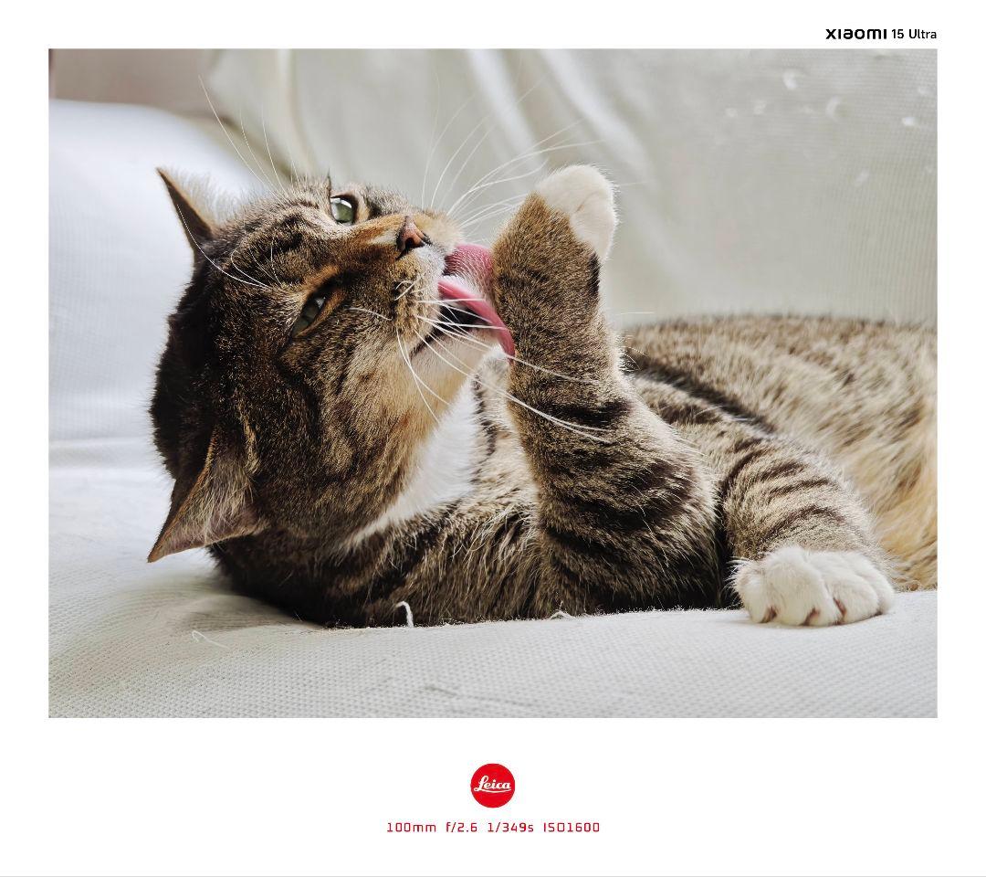 Xiaomi 15 Ultra 国内版 白 Photography Kit 本体